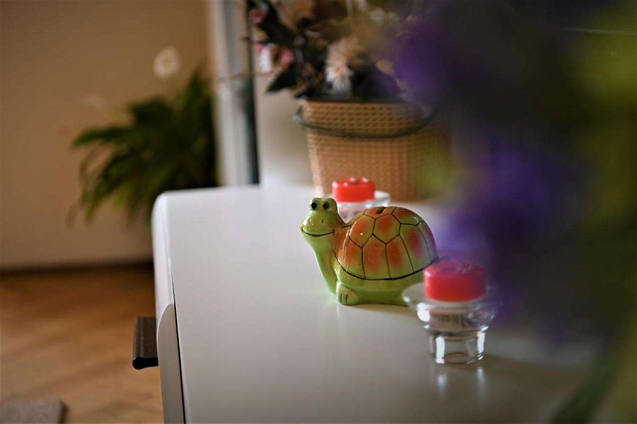 Marin Hotel Apartment บราชอฟ ภายนอก รูปภาพ
